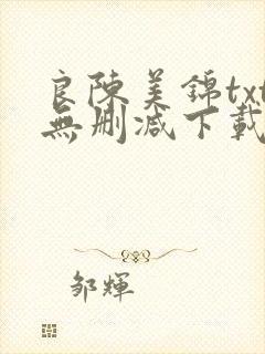 良陈美锦txt无删减下载