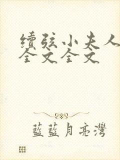 续弦小夫人阅读全文全文