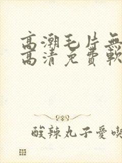 高潮毛片无遮挡高清免费软件