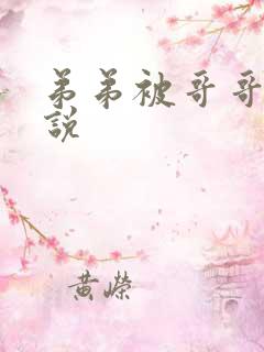 弟弟被哥哥插小说