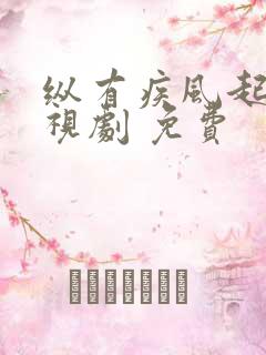 纵有疾风起 电视剧 免费