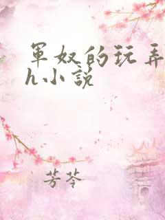 军奴的玩弄调教h小说