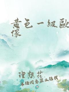 黄色一级欧美录像