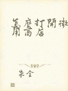 怎么打开微软应用商店