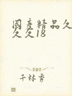 国产精品久久久久久18