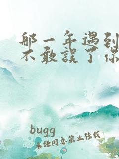 那一年遇到你却不敢误了你是什么歌