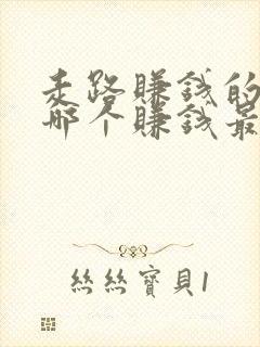 走路赚钱的软件哪个赚钱最快