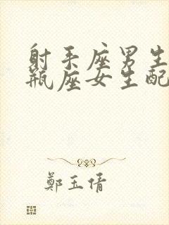 射手座男生和水瓶座女生配对指数