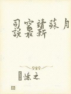 司空靖苏月汐小说最新