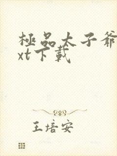 极品太子爷 txt下载