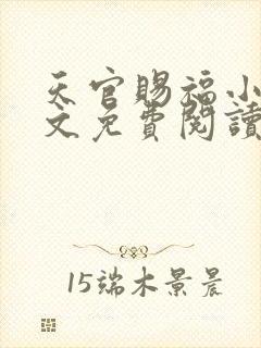 天官赐福小说全文免费阅读未删减版