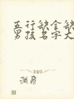 五行缺金缺火的男孩名字大全集