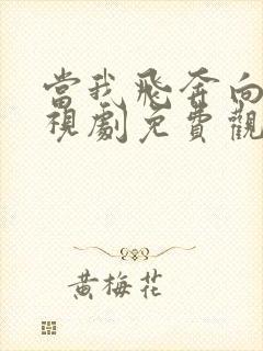 当我飞奔向你电视剧免费观看全部