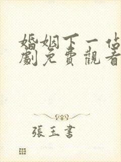 婚姻下一站电视剧免费观看全集