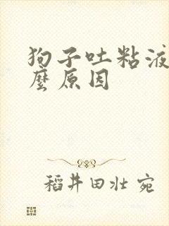 狗子吐粘液是什么原因