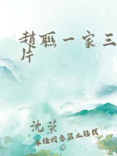 赵联一家三口照片