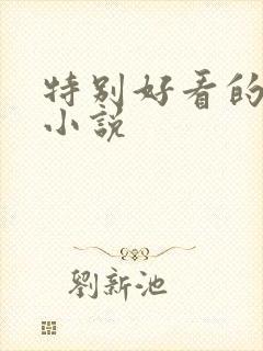 特别好看的穿越小说