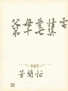 父母爱情电视剧第十七集