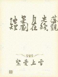 他是月光落我心短剧在线观看