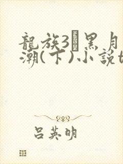 龙族3·黑月之潮(下)小说txt下载