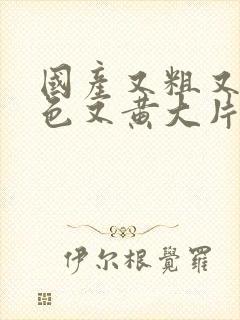 国产又粗又猛又色又黄大片