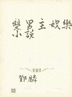 双男主娱乐圈的小说