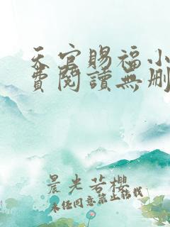 天官赐福小说免费阅读无删减版