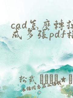 cad怎么转换成多张pdf格式