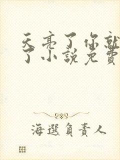 天亮了你就回来了小说免费阅读