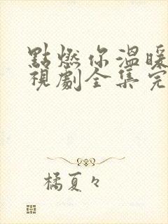 点燃你温暖我电视剧全集完整版免费