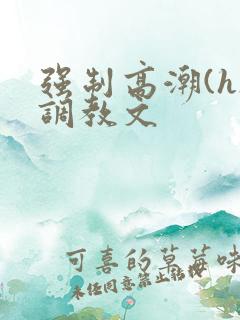 强制高潮(h)调教文