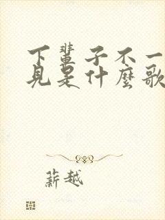 下辈子不一定遇见是什么歌