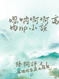 嗯呐啊啊高h纯肉np小说