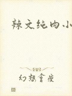 辣文纯肉小说h