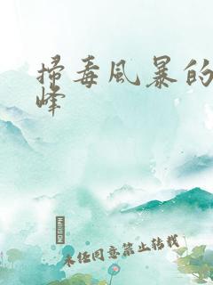 扫毒风暴的林强峰