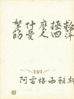 拿什么拯救你我的爱人四萍