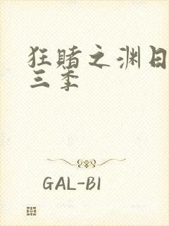 狂赌之渊日剧第三季