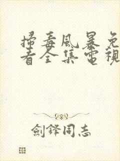 扫毒风暴免费观看全集电视剧高清