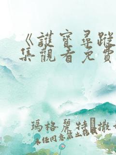 《护宝寻踪》全集观看免费