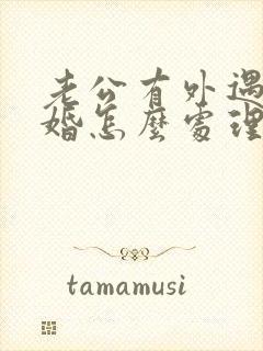 老公有外遇要离婚怎么处理