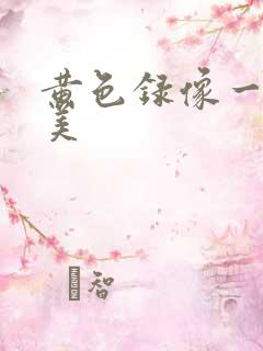 黄色录像一级欧美