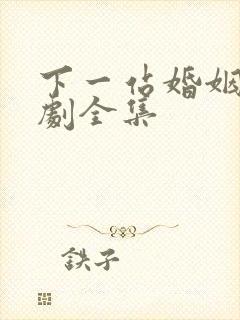 下一站婚姻连续剧全集