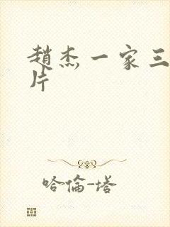 赵杰一家三口照片