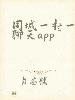 同城一对一视频聊天app