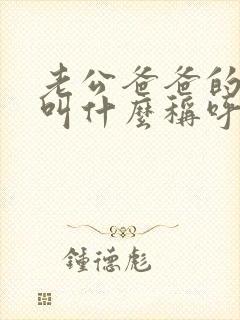 老公爸爸的弟弟叫什么称呼