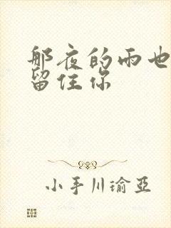 那夜的雨也没能留住你