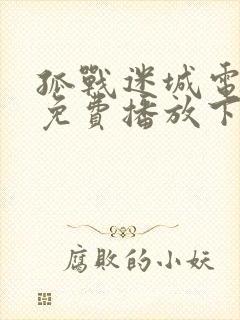 孤战迷城电视剧免费播放下载