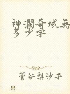 神澜奇域无双珠多少字