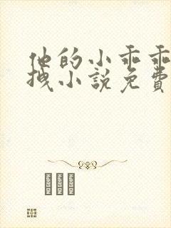 他的小乖乖甜又拽小说免费阅读