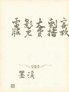 电影大刺客国语版免费播放